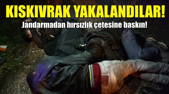 Jandarmadan hırsızlık çetesine operasyon!