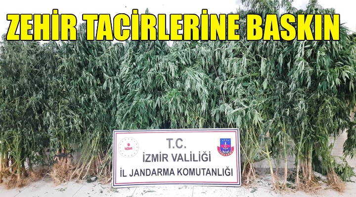 Jandarmadan zehir tacirlerine baskın!