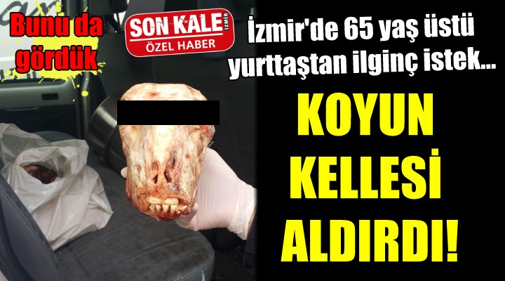 KOYUN KELLESİ ALDIRDI!