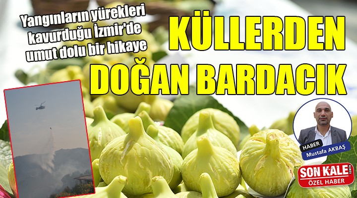 KÜLLERDEN DOĞAN BARDACIK