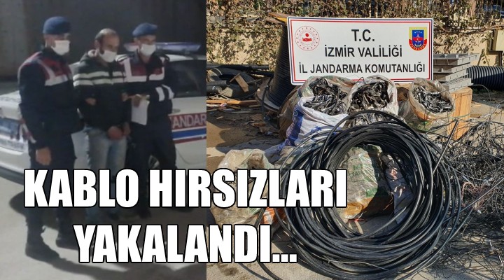 Kablo hırsızları yakalandı