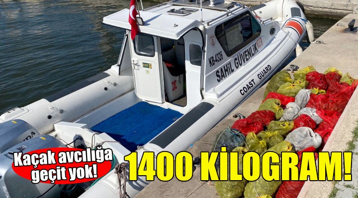 Kaçak avcılığa geçit yok... Bin 400 kilogram ele geçirildi!