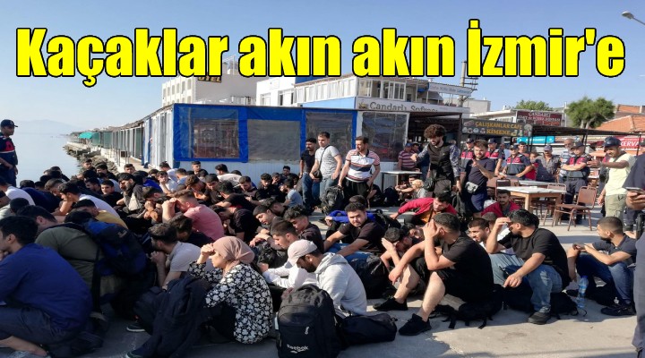 Kaçaklar akın akın İzmir e...