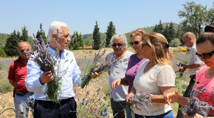 Kadın üreticilere 97 bin 500 adet Tıbbi Aromatik fidan!