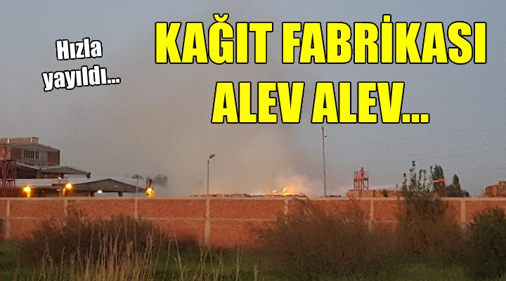 Kağıt fabrikasında yangın!