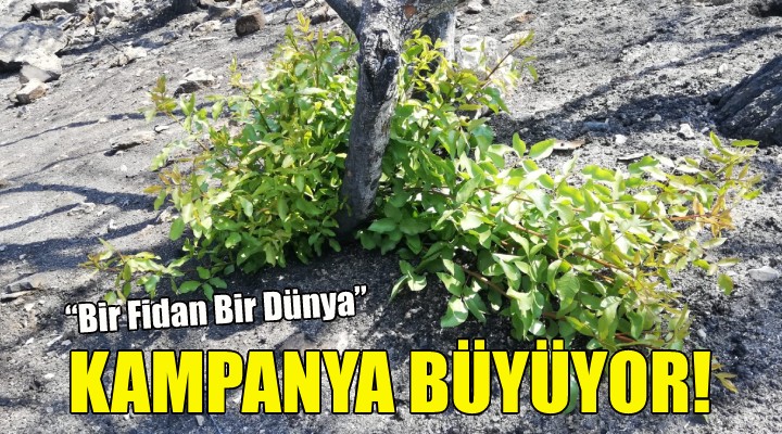 Kampanya büyüyor!