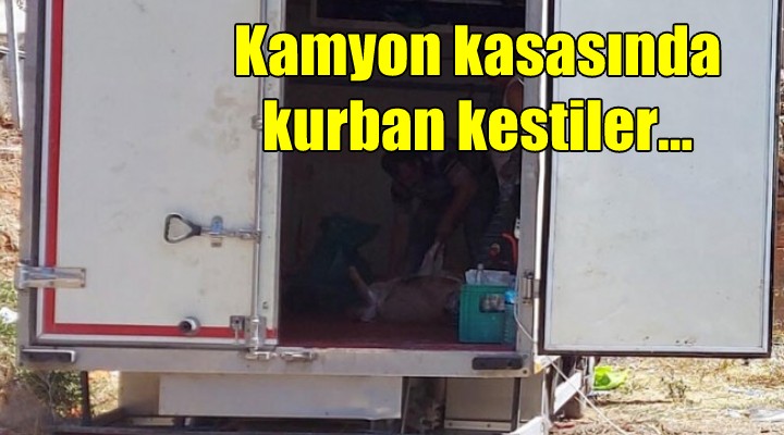 Kamyon kasasında kurban kestiler