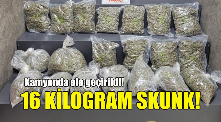 Kamyonda ele geçirildi... 16 kilogram skunk!