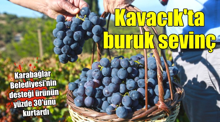 Karabağlar Belediyesi ne gübre ve bordo bulamacı teşekkürü!