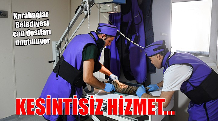 Karabağlar da can dostlara kesintisiz hizmet...