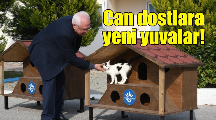 Karabağlar da can dostlara yeni yuvalar!