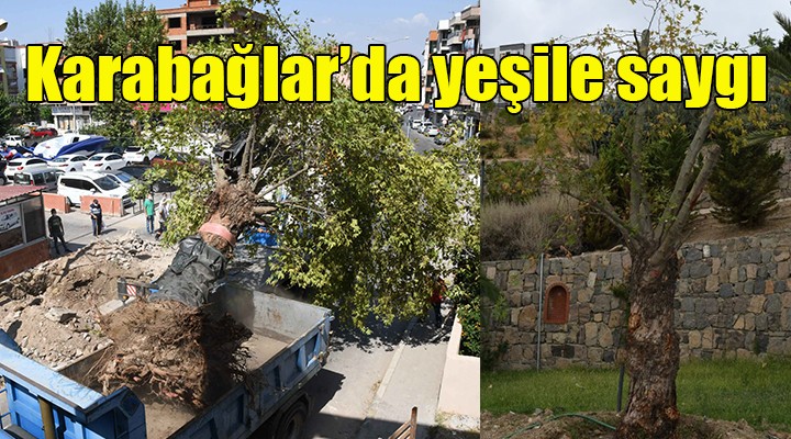 Karabağlar da yeşile saygı...