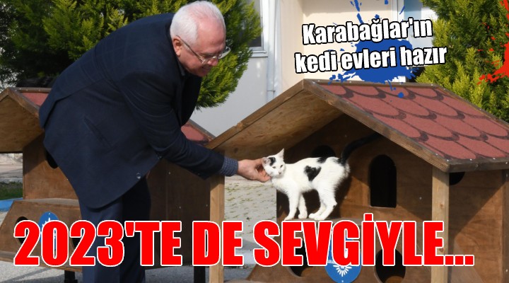 Karabağlar’ın 2023 yılı kedi evleri hazır