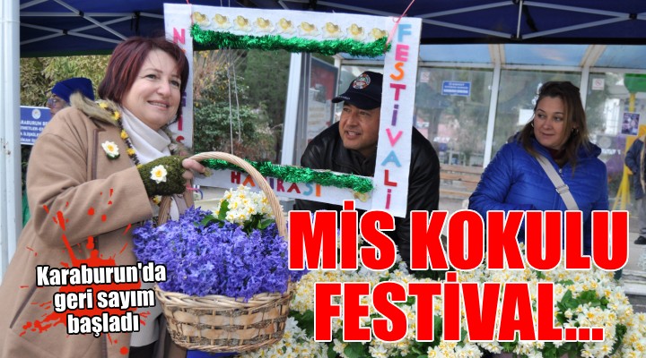 Karaburun Nergis Festivali için geri sayım...