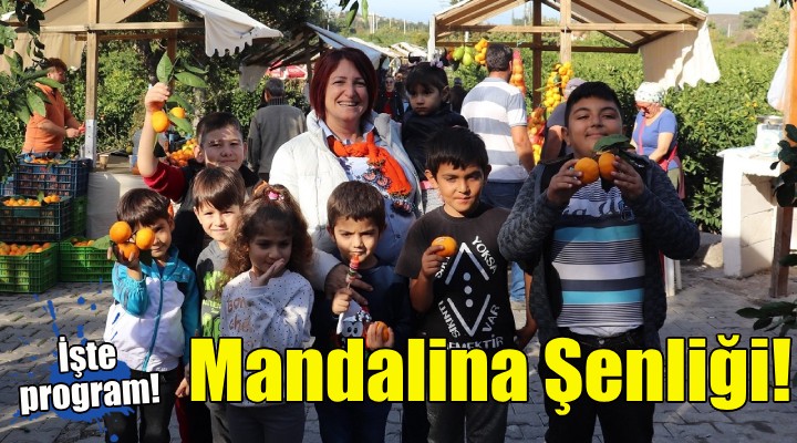 Karaburun da Mandalina Şenliği heyecanı!