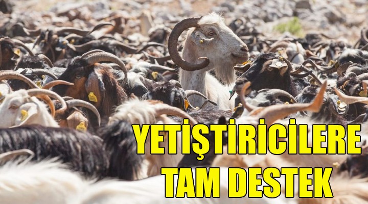 Karaburun da keçi yetiştiricilerine tam destek!