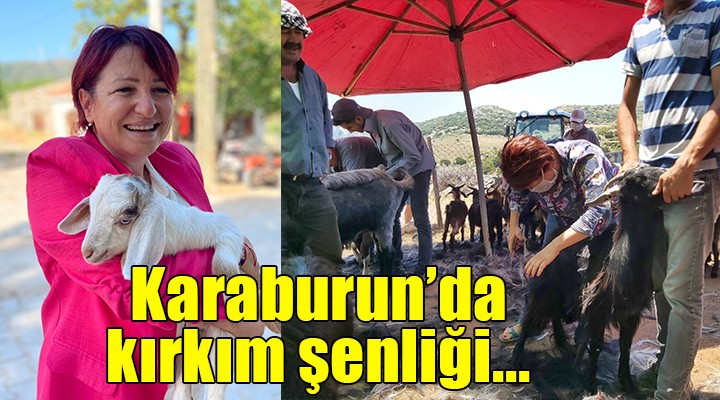 Karaburun da kırkım şenliği...