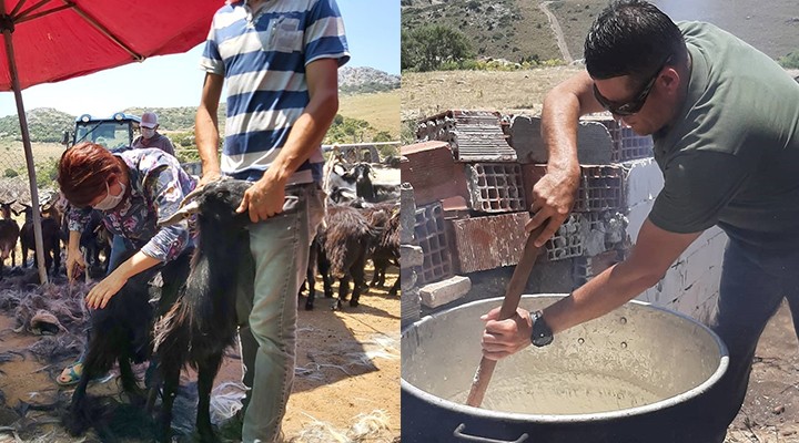 Karaburun da kırkım şenliği