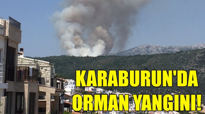 Karaburun da orman yangını!