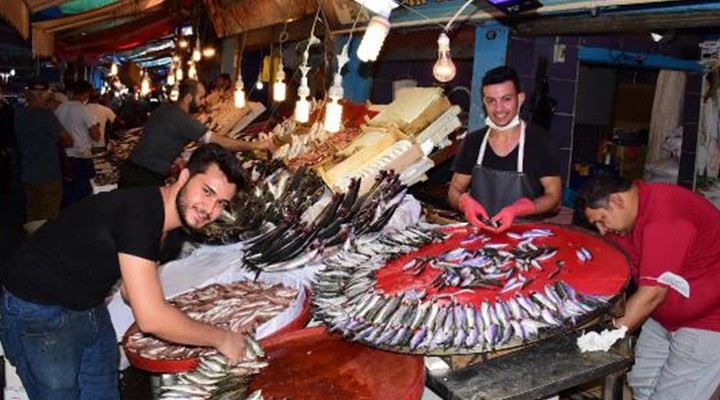 Karadeniz e Ege hamsisi...