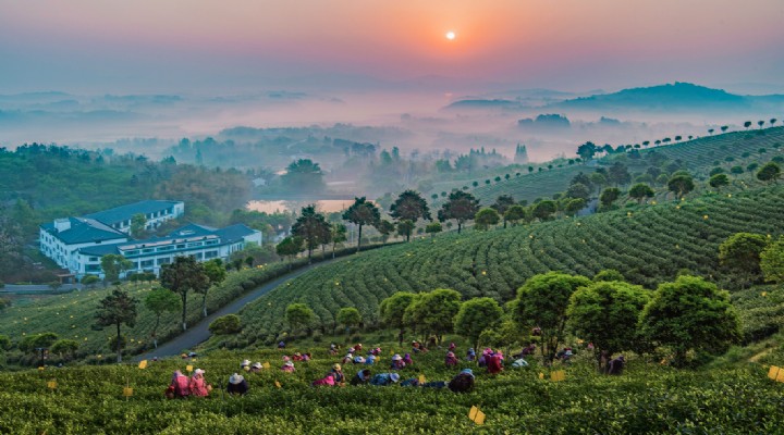 Kardeş şehirler kadrajda buluştu