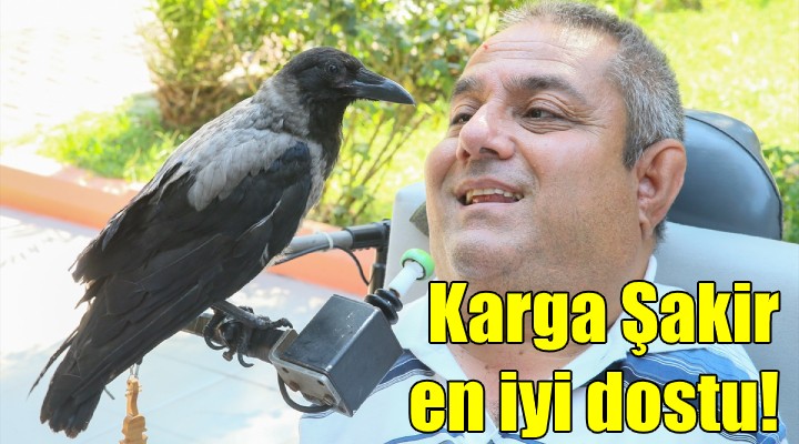 Karga Şakir en iyi arkadaşı oldu!