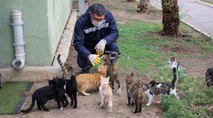 Karşıyaka Belediyesi 5 yılda on binlerce can dosta sahip çıktı