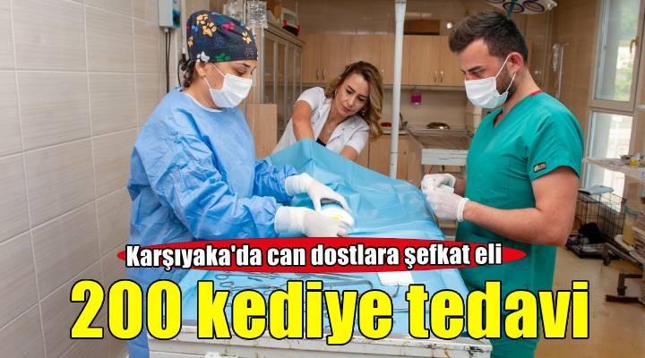 Karşıyaka Belediyesi ekipleri can dostlar için sahada