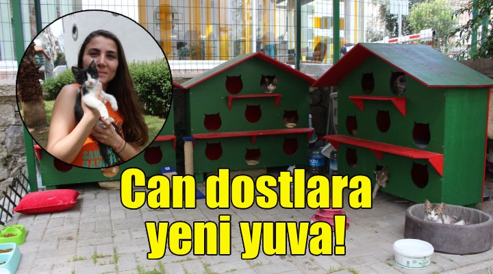 Karşıyaka Belediyesi nden can dostlara yeni yuva!