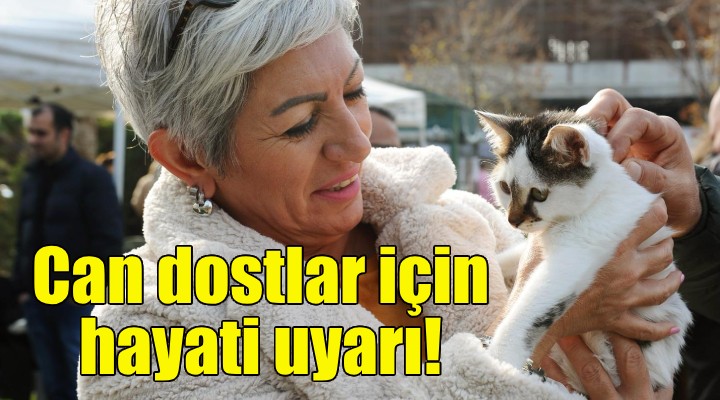 Karşıyaka Belediyesi’nden can dost sahiplerine hayati uyarı!