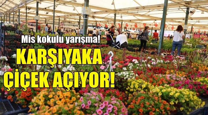 Karşıyaka çiçek açıyor!