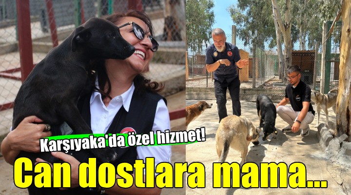 Karşıyaka da can dostlara huzurlu hayat...