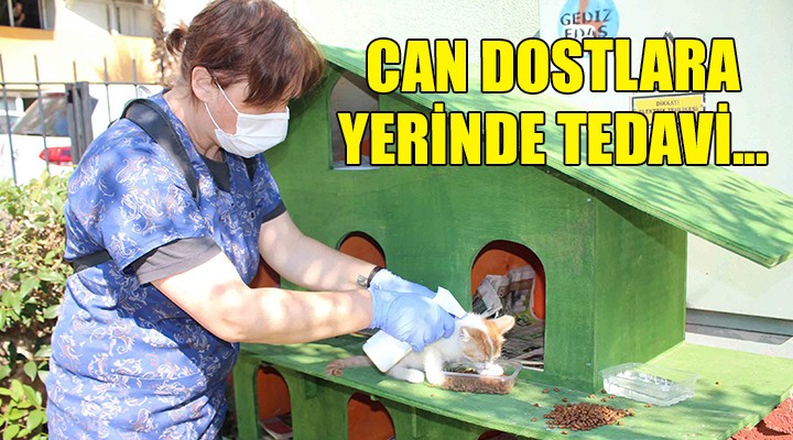 Karşıyaka da can dostlara yerinde tedavi