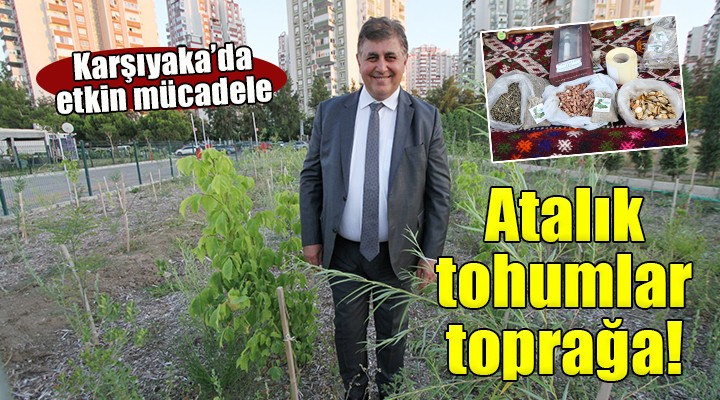 Karşıyaka da yerel tohumlar toprakla buluşuyor...