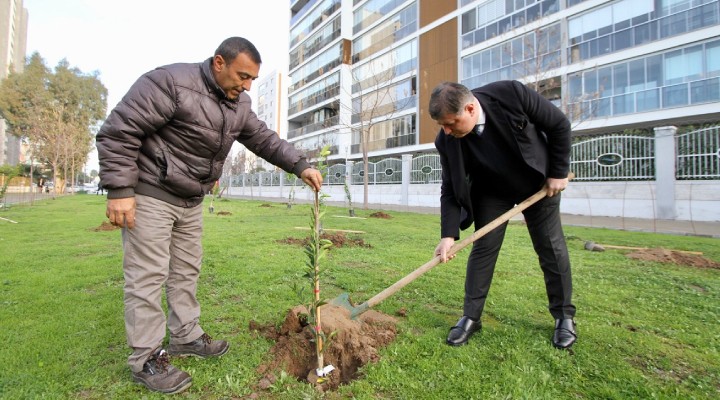 Karşıyaka meyve bahçeleriyle donatılacak!