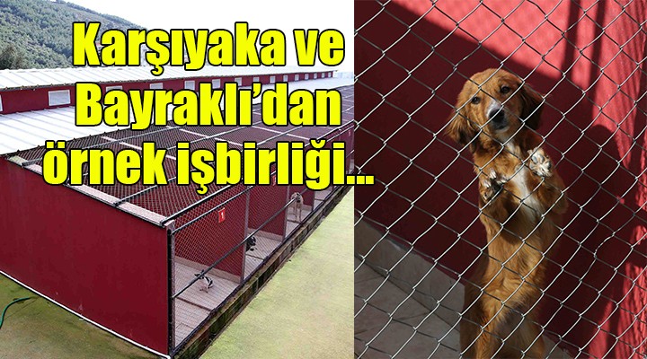 Karşıyaka ve Bayraklı’dan örnek iş birliği