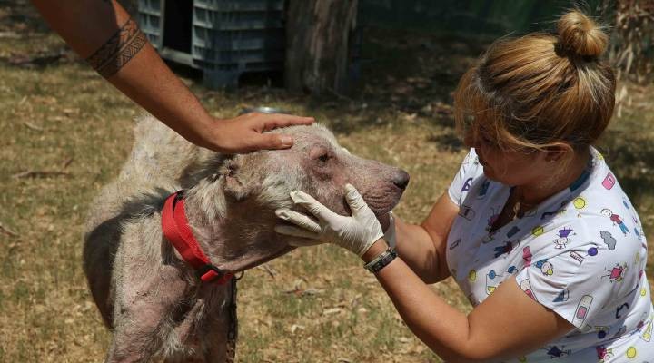 Karşıyaka’da bir ‘Direniş’ öyküsü