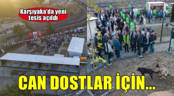 Karşıyaka’da sokak hayvanları için yeni tesis