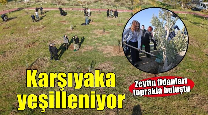 Karşıyaka’da zeytin fidanları toprakla buluştu