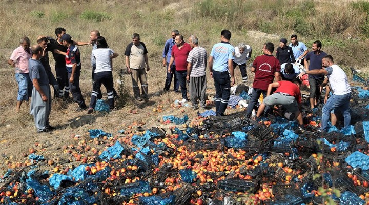 Katliam gibi kaza: 5 ölü 10 yaralı