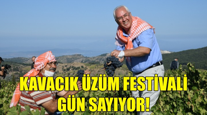 Kavacık Üzüm Festivali gün sayıyor!