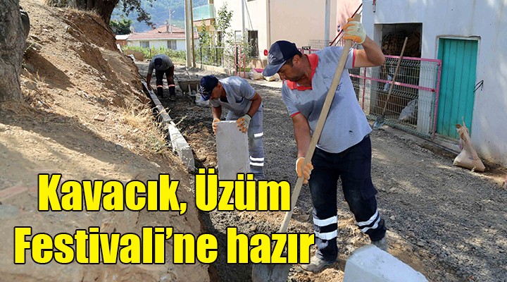 Kavacık, Üzüm Festivali ne hazır