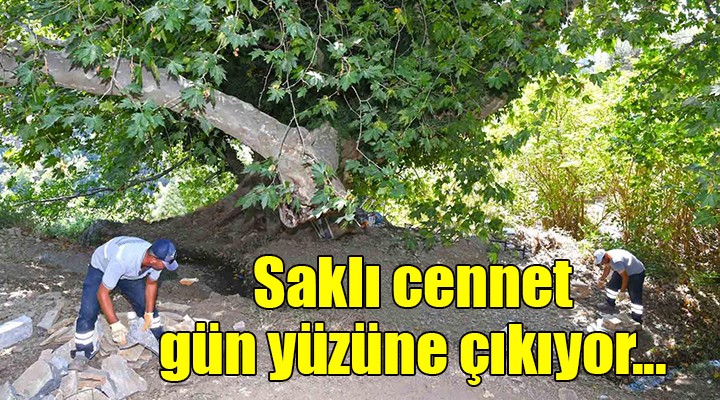 Kavacık ın saklı cenneti gün yüzüne çıkıyor