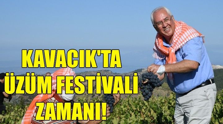 Kavacık ta Üzüm Festivali zamanı!