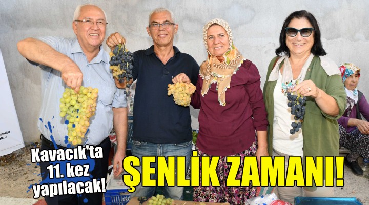 Kavacık ta Üzüm Şenliği zamanı!