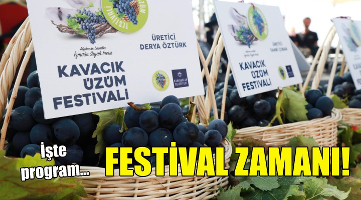 Kavacık ta festival zamanı!