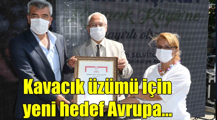 Kavacık üzümü için yeni hedef Avrupa!