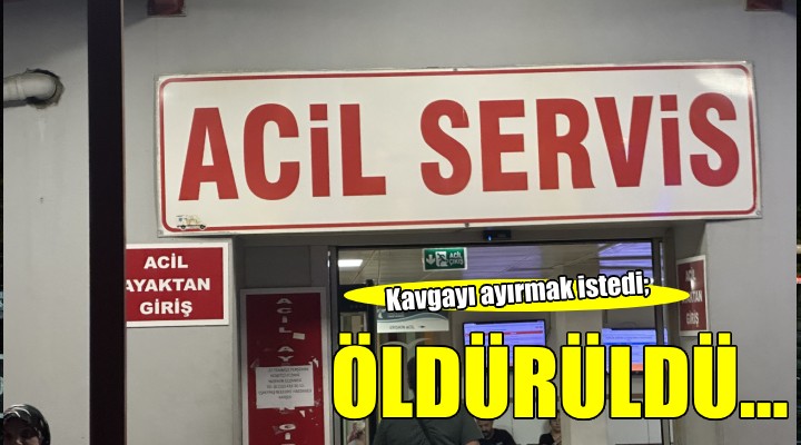 Kavgayı ayırmak isterken canından oldu...