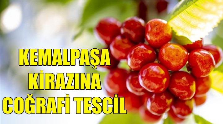 Kemalpaşa Kirazı coğrafi tescil aldı!