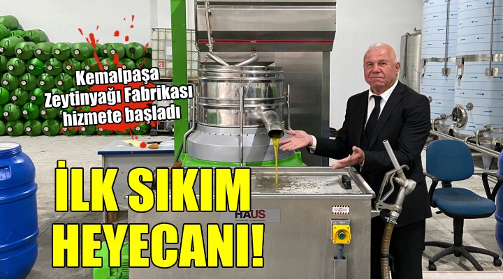 Kemalpaşa Zeytinyağı Fabrikası nda ilk sıkım heyecanı...